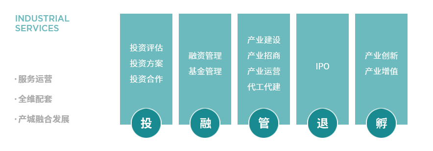 投融管退孵.png
